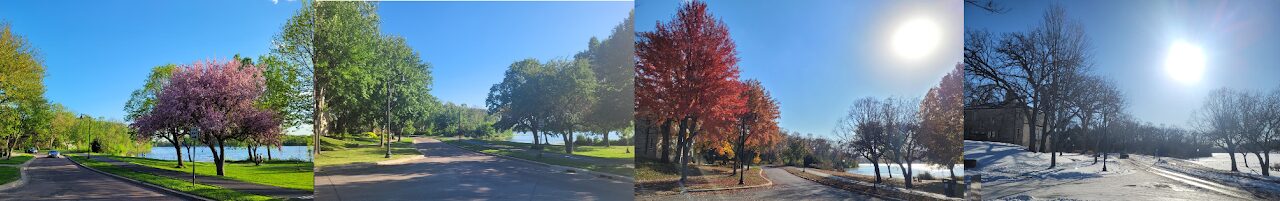 Four views of the same Minneapolis street by Bde Maka Ska across the seasons: flowering trees in spring, green canopy in summer, red foliage in autumn, and snow in winter.